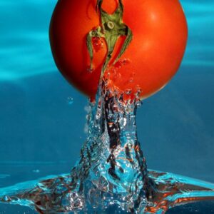 Der Tomatenmotor