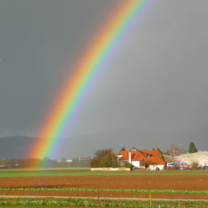 Regenbogen im Selbstbau