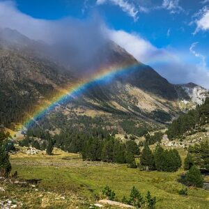 Der Regenbogen im Wasserglas